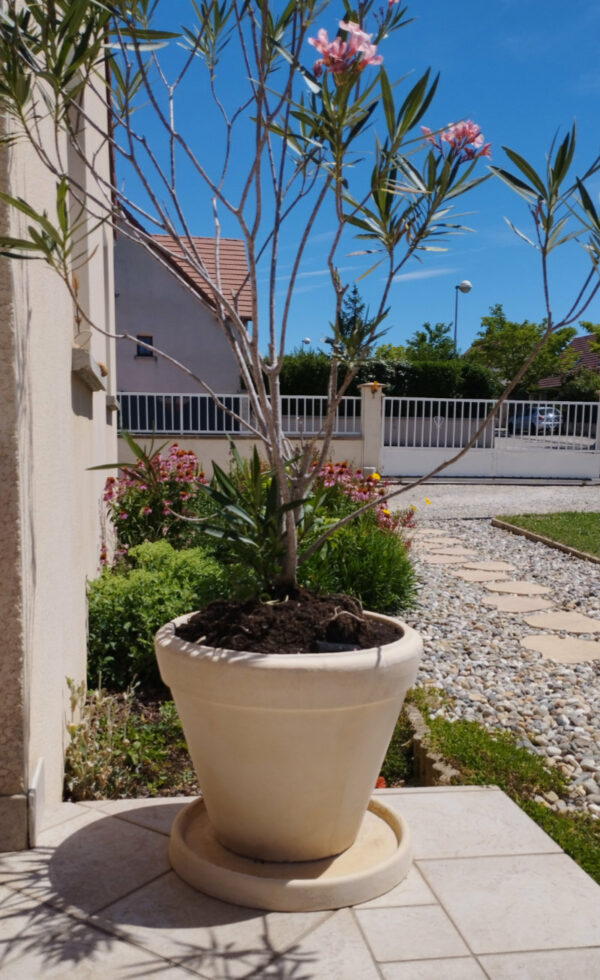 Pot Toscane A – Image 2