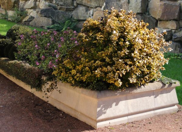 Jardinière modulable finition lisse, à partir de bordure de fontaine et massif – Image 5