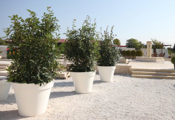 Pot Toscane E – Image 13