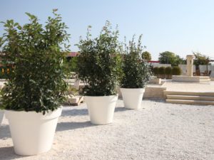 Pot Toscane E