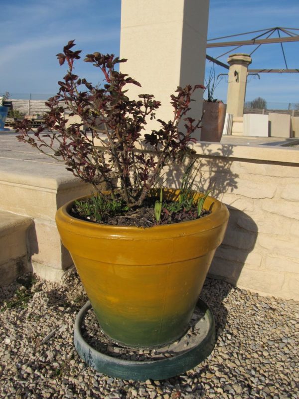 Pot Toscane A – Image 7