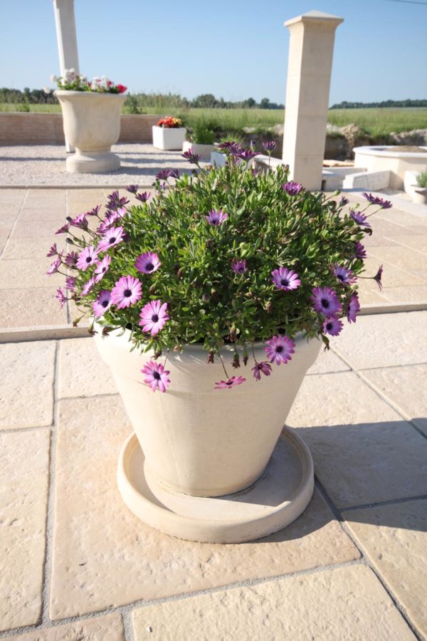 Pot Toscane A – Image 3