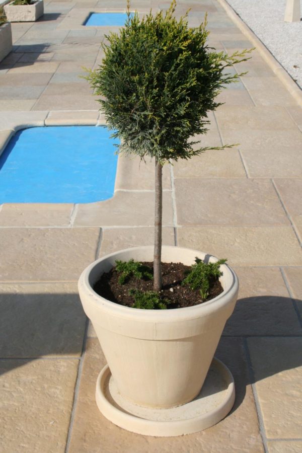 Pot Toscane A – Image 5