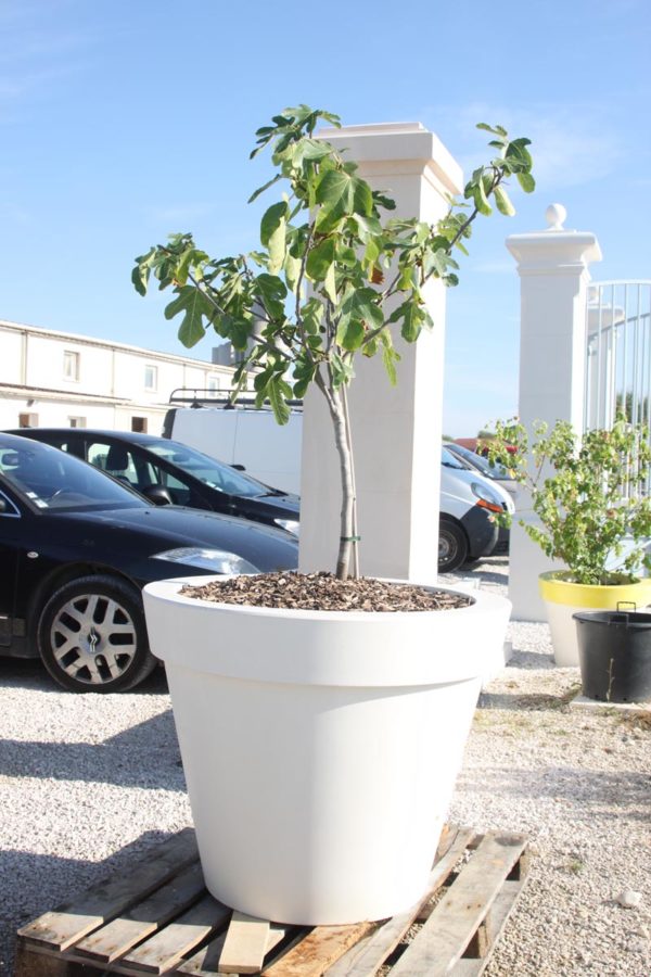 Pot Toscane C – Image 3