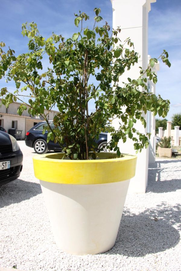 Pot Toscane C – Image 5