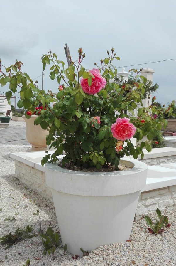 Pot Toscane C – Image 6