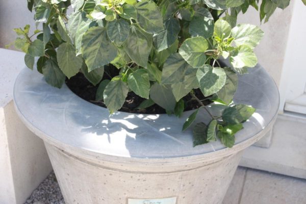 Pot Toscane D avec couronne Fleur – Image 6