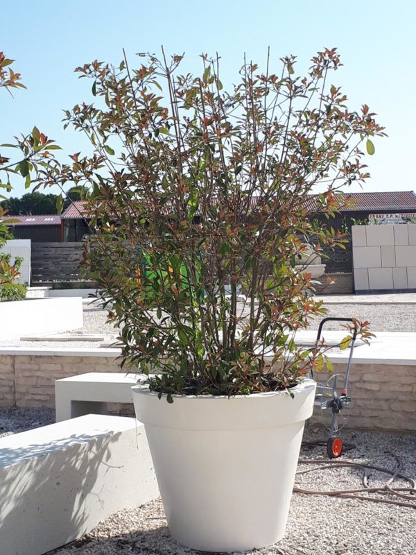 Pot Toscane E – Image 9