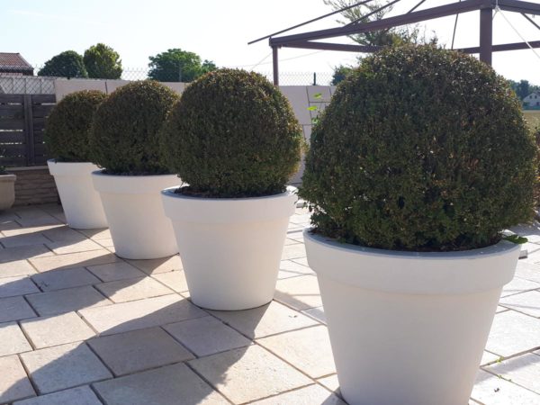 Pot Toscane E – Image 11