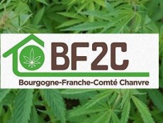 association bourgogne franche comte chanvre